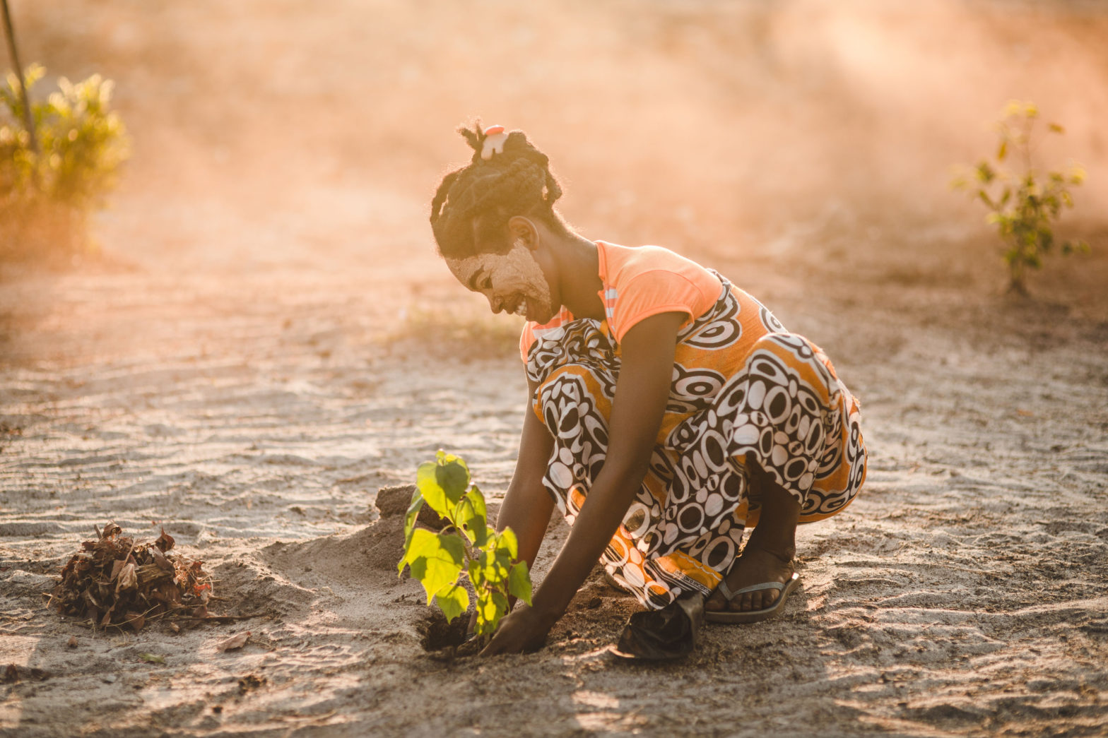 The Story Of Tentree THE ENVIRONMENTOR