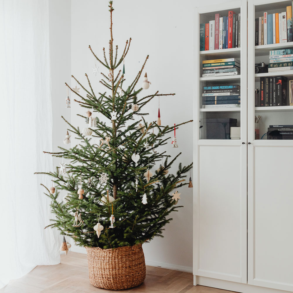 5 Ways To Recycle Your Christmas Tree - THE ENVIRONMENTOR