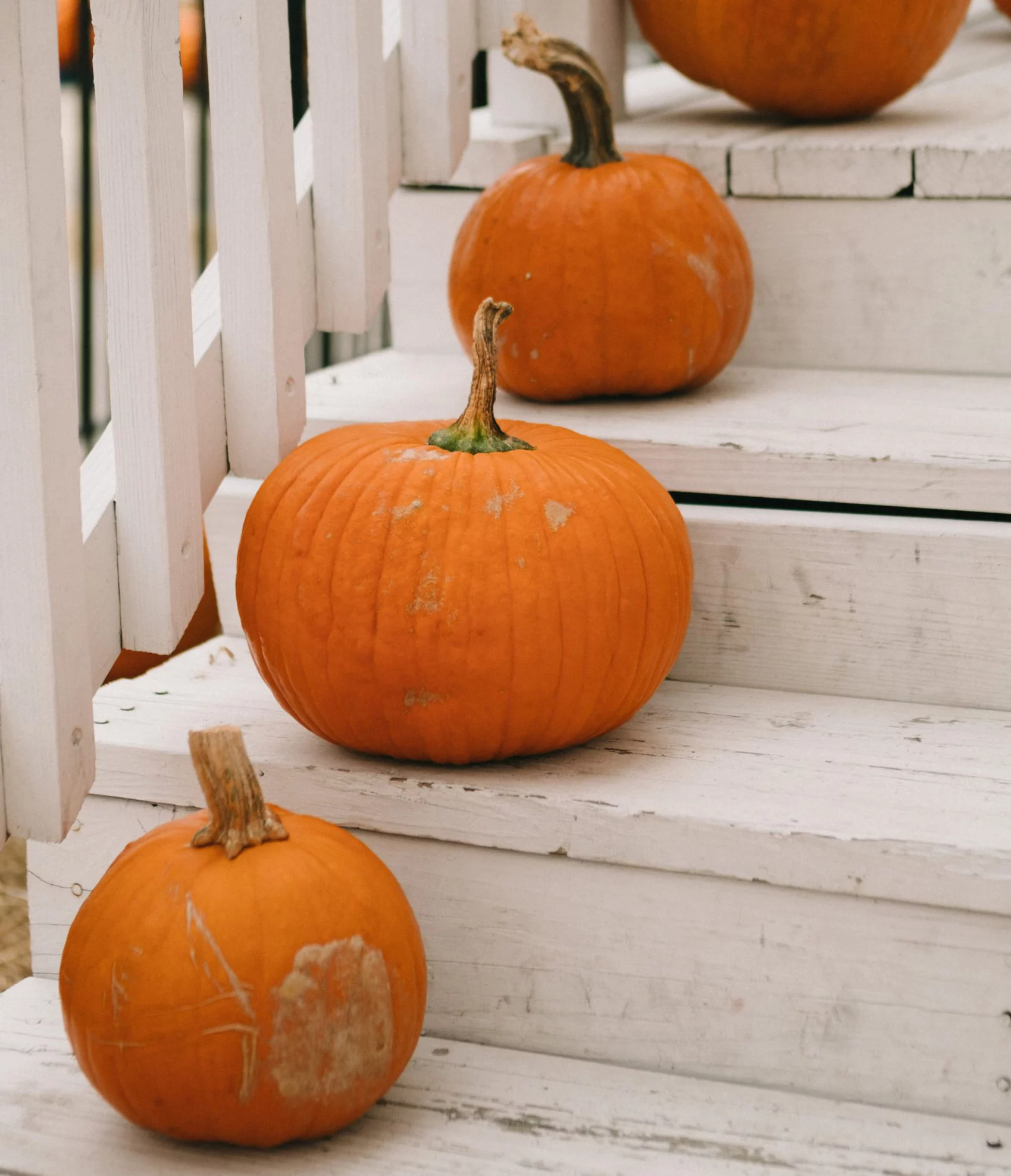 10 Things To Do On The First Day Of Fall