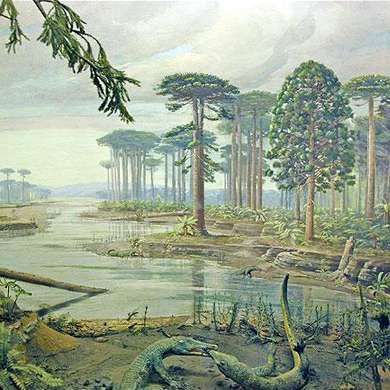 extinct trees