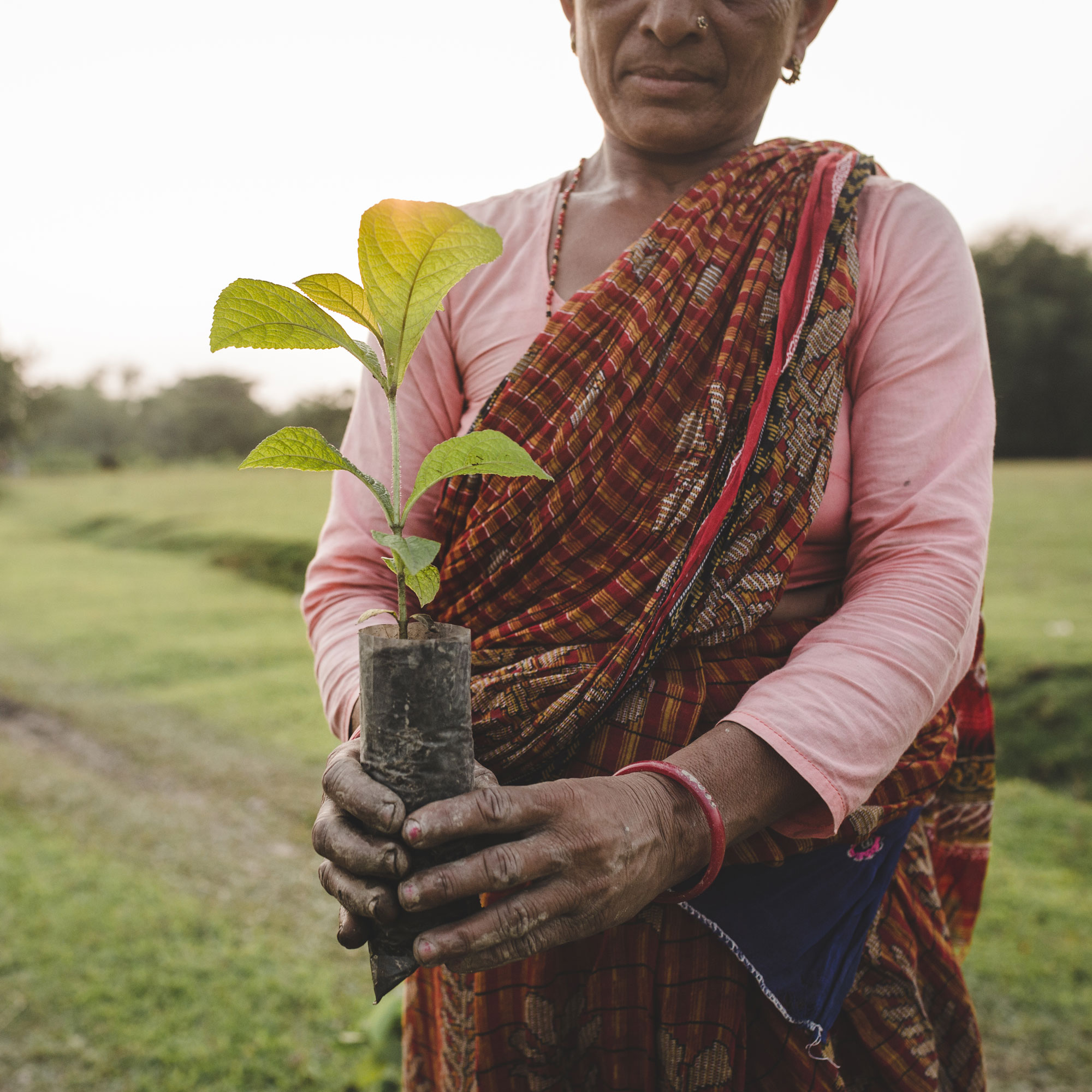 tree-planting-site-nepal-the-environmentor