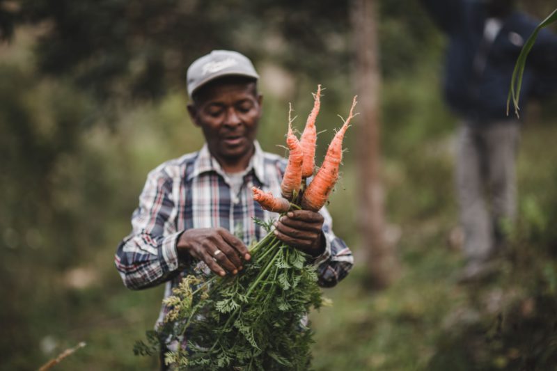 man holding carrots