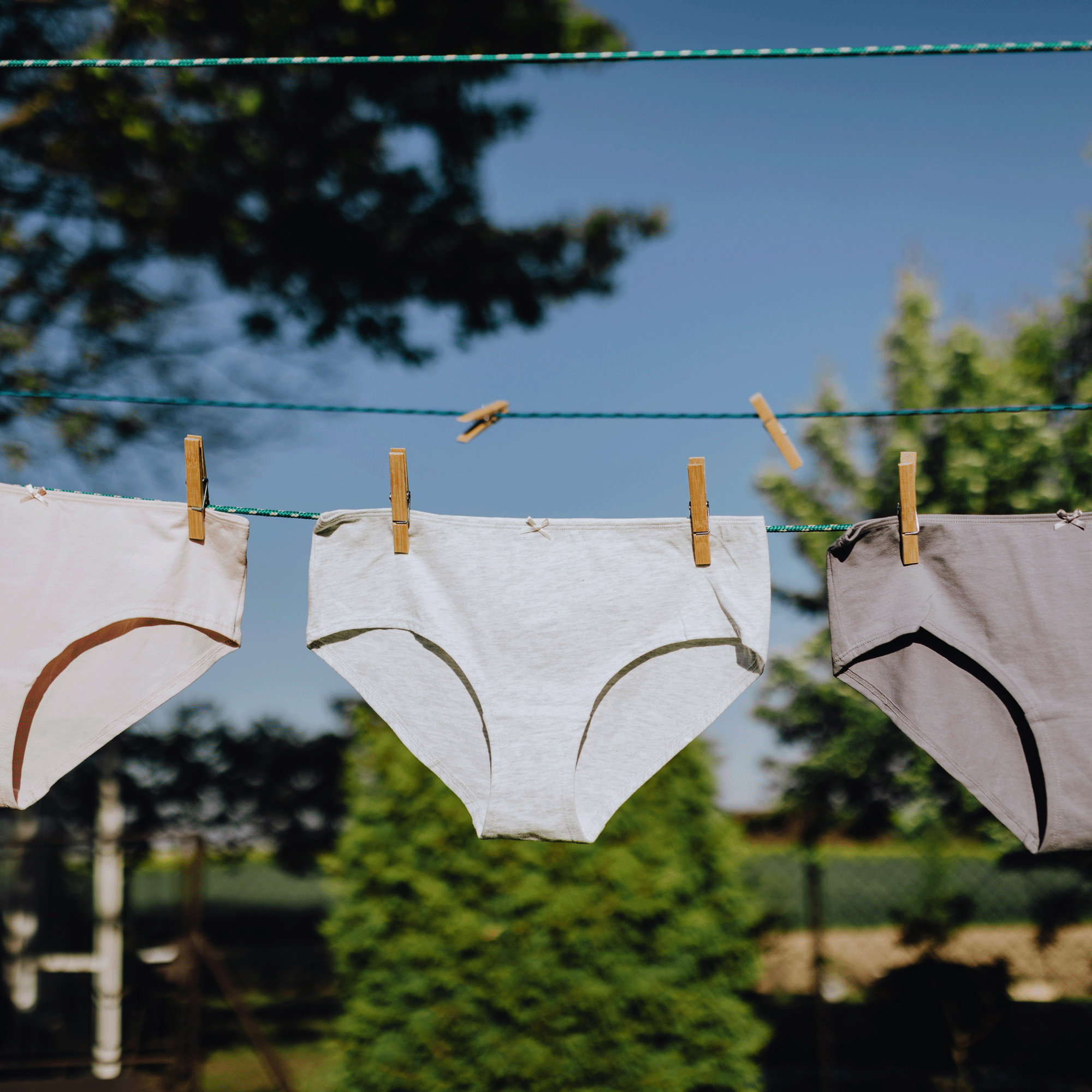 Save the planet with underwear you don't have to change
