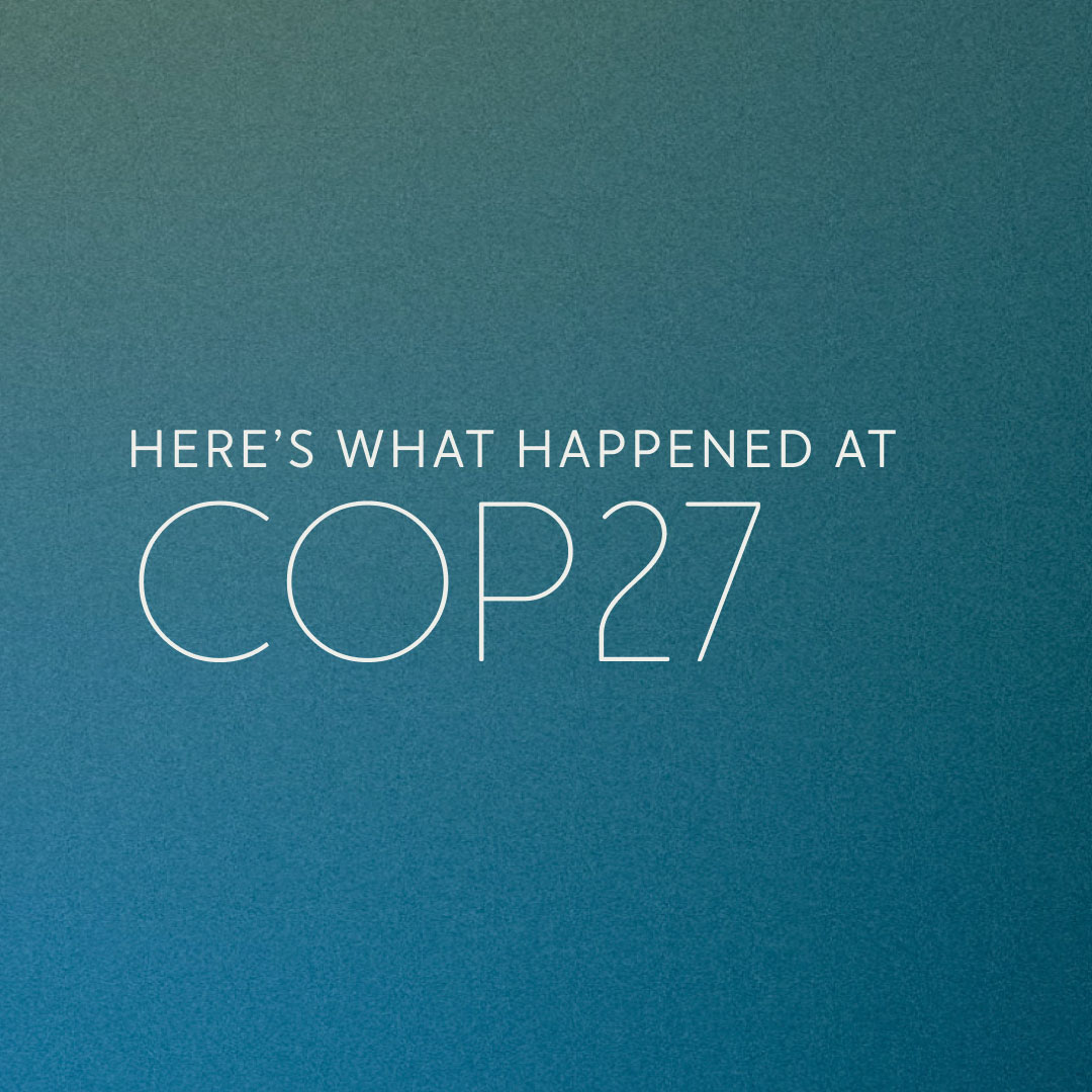 Key Takeaways From COP27 - THE ENVIRONMENTOR