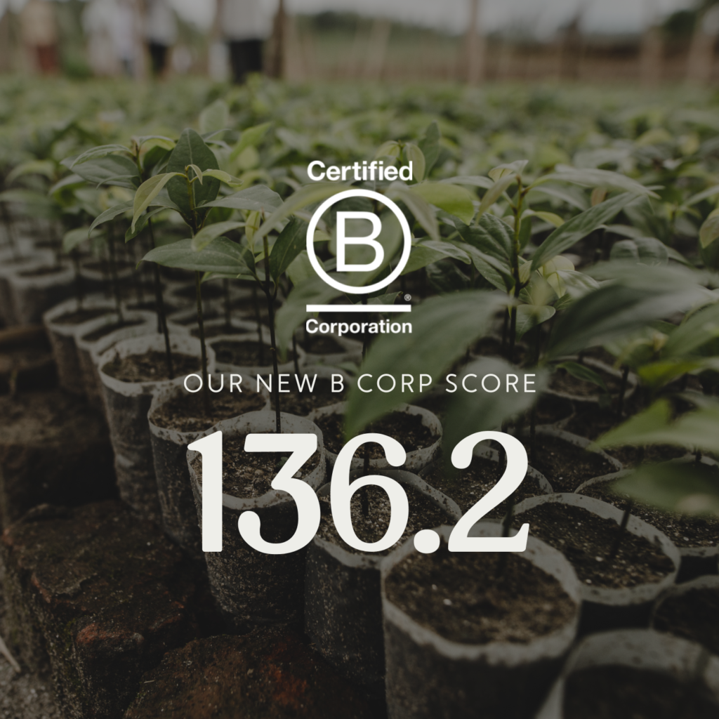 We Have A New B Corp Score - THE ENVIRONMENTOR